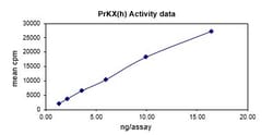 Eurofins DiscoverX PRKX Protein, Active 10 &mu;g | Buy Online | Eurofins DiscoverX | Fisher Scientific